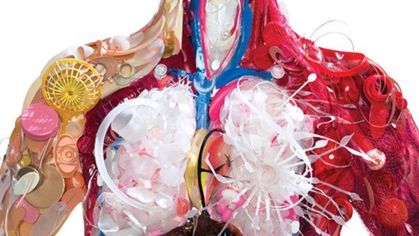 Sculpture of the anatomical insides of a human body, made entirely out of pieces of colorful plastic.